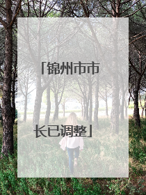 锦州市市长已调整