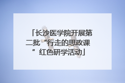 长沙医学院开展第二批“行走的思政课”红色研学活动