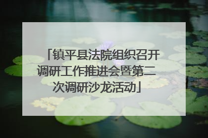 镇平县法院组织召开调研工作推进会暨第二次调研沙龙活动