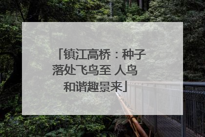 镇江高桥：种子落处飞鸟至 人鸟和谐趣景来