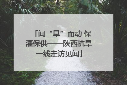 闻“旱”而动 保灌保供——陕西抗旱一线走访见闻