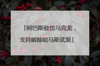 阿巴斯致信马克龙，支持解除哈马斯武装