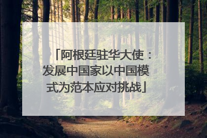阿根廷驻华大使：发展中国家以中国模式为范本应对挑战
