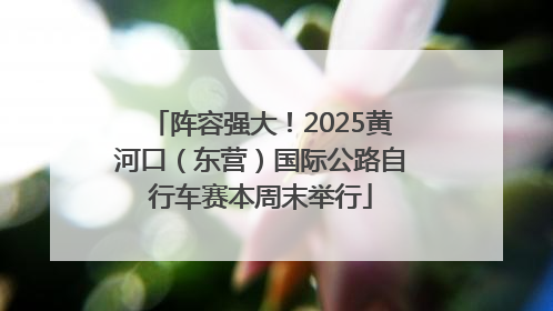阵容强大！2025黄河口（东营）国际公路自行车赛本周末举行