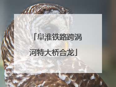 阜淮铁路跨涡河特大桥合龙
