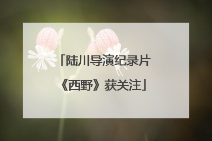 陆川导演纪录片《西野》获关注