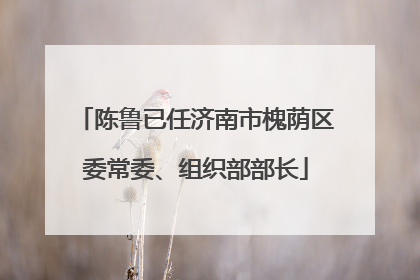 陈鲁已任济南市槐荫区委常委、组织部部长