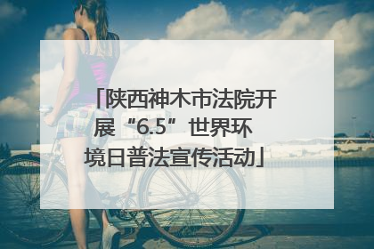 陕西神木市法院开展“6.5”世界环境日普法宣传活动