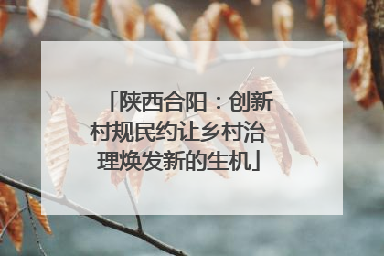 陕西合阳：创新村规民约让乡村治理焕发新的生机