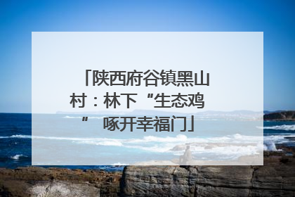 陕西府谷镇黑山村：林下“生态鸡” 啄开幸福门