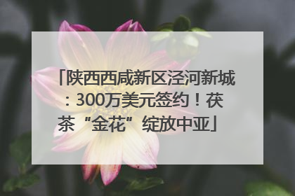 陕西西咸新区泾河新城：300万美元签约！茯茶“金花”绽放中亚