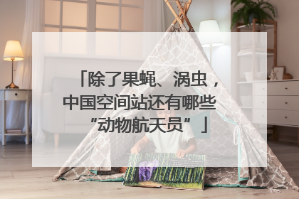 除了果蝇、涡虫，中国空间站还有哪些“动物航天员”