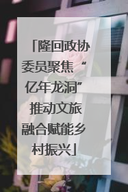 隆回政协委员聚焦“亿年龙洞” 推动文旅融合赋能乡村振兴