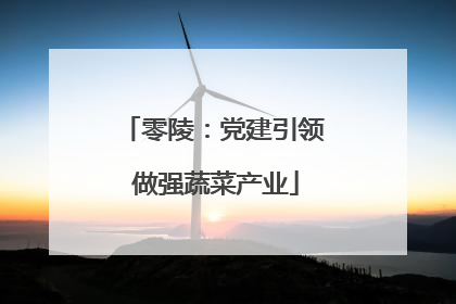 零陵：党建引领 做强蔬菜产业