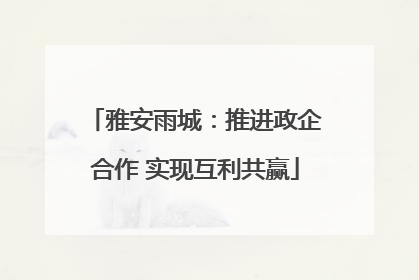 雅安雨城：推进政企合作 实现互利共赢