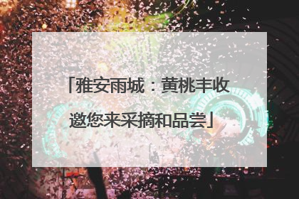 雅安雨城：黄桃丰收 邀您来采摘和品尝