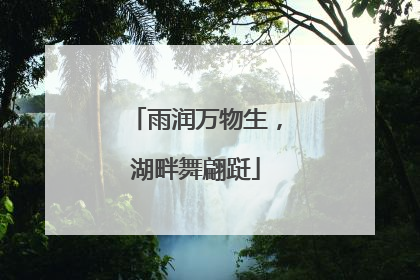 雨润万物生，湖畔舞翩跹
