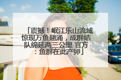 震撼！岷江乐山流域惊现万鱼翻涌，成群结队绵延两三公里 官方：鱼群在此产卵