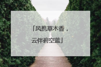 风携草木香，云伴碧空蓝