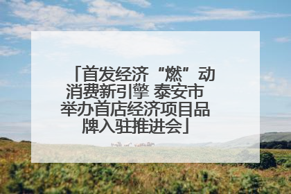 首发经济“燃”动消费新引擎 泰安市举办首店经济项目品牌入驻推进会