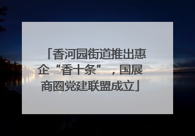 香河园街道推出惠企“香十条”，国展商圈党建联盟成立