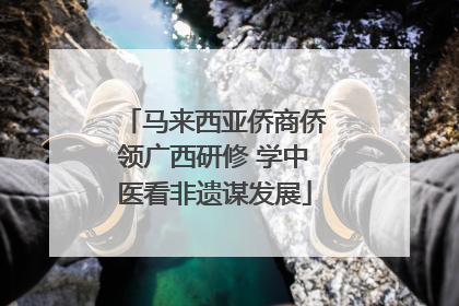 马来西亚侨商侨领广西研修 学中医看非遗谋发展