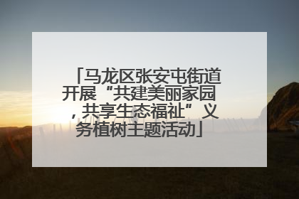 马龙区张安屯街道开展“共建美丽家园，共享生态福祉”义务植树主题活动