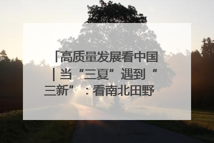 高质量发展看中国｜当“三夏”遇到“三新”：看南北田野里的科技共生记