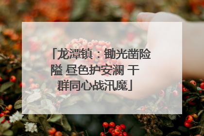 龙潭镇：锄光凿险隘 昼色护安澜 干群同心战汛魔