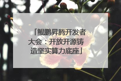 鲲鹏昇腾开发者大会：开放开源铸造坚实算力底座