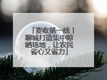 麦收第一线丨聊城打造集中晾晒场地，让农民省心又省力