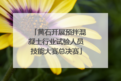 黄石开展预拌混凝土行业试验人员技能大赛总决赛