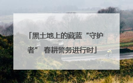 黑土地上的藏蓝“守护者” 春耕警务进行时