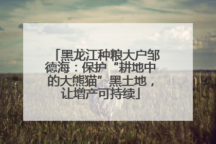 黑龙江种粮大户邹德海：保护“耕地中的大熊猫”黑土地，让增产可持续