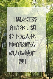 黑龙江齐齐哈尔：胡萝卜无人化种植破解劳动力短缺难题