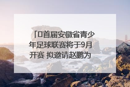 ﻿首届安徽省青少年足球联赛将于9月开赛 拟邀请赵鹏为先导赛开球