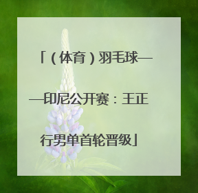 （体育）羽毛球——印尼公开赛：王正行男单首轮晋级