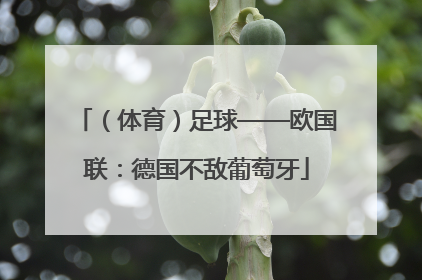 （体育）足球——欧国联：德国不敌葡萄牙