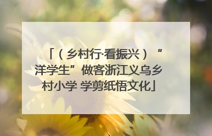 （乡村行·看振兴）“洋学生”做客浙江义乌乡村小学 学剪纸悟文化