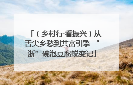 （乡村行·看振兴）从舌尖乡愁到共富引擎 “浙”碗泡豆腐蜕变记