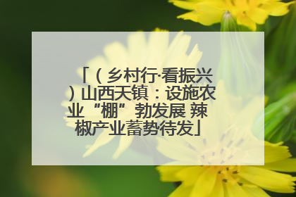 （乡村行·看振兴）山西天镇：设施农业“棚”勃发展 辣椒产业蓄势待发