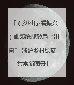 （乡村行·看振兴）毗邻统战破局“出圈” 浙沪乡村绘就共富新图景