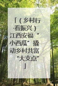 （乡村行·看振兴）江西安福“小西瓜”撬动乡村共富“大支点”