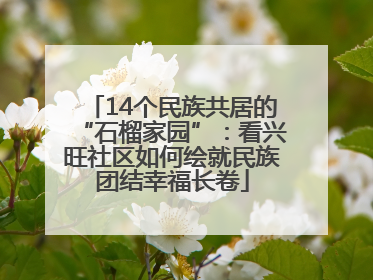 14个民族共居的“石榴家园”：看兴旺社区如何绘就民族团结幸福长卷