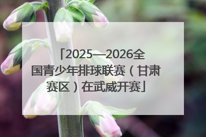 2025—2026全国青少年排球联赛（甘肃赛区）在武威开赛