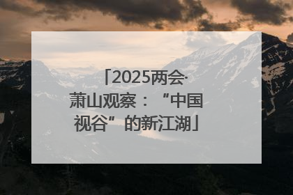 2025两会·萧山观察：“中国视谷”的新江湖