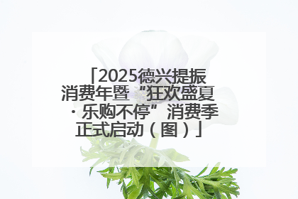 2025德兴提振消费年暨“狂欢盛夏・乐购不停”消费季正式启动（图）