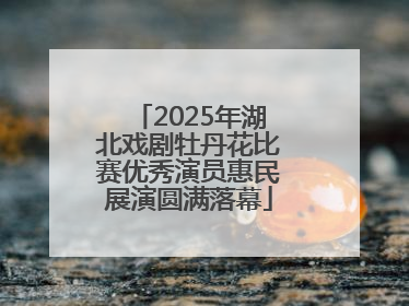 2025年湖北戏剧牡丹花比赛优秀演员惠民展演圆满落幕