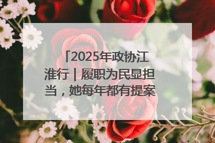 2025年政协江淮行｜履职为民显担当，她每年都有提案被评为“优秀”