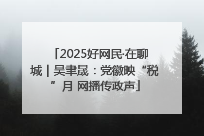 2025好网民·在聊城｜吴聿晟：党徽映“税”月 网播传政声